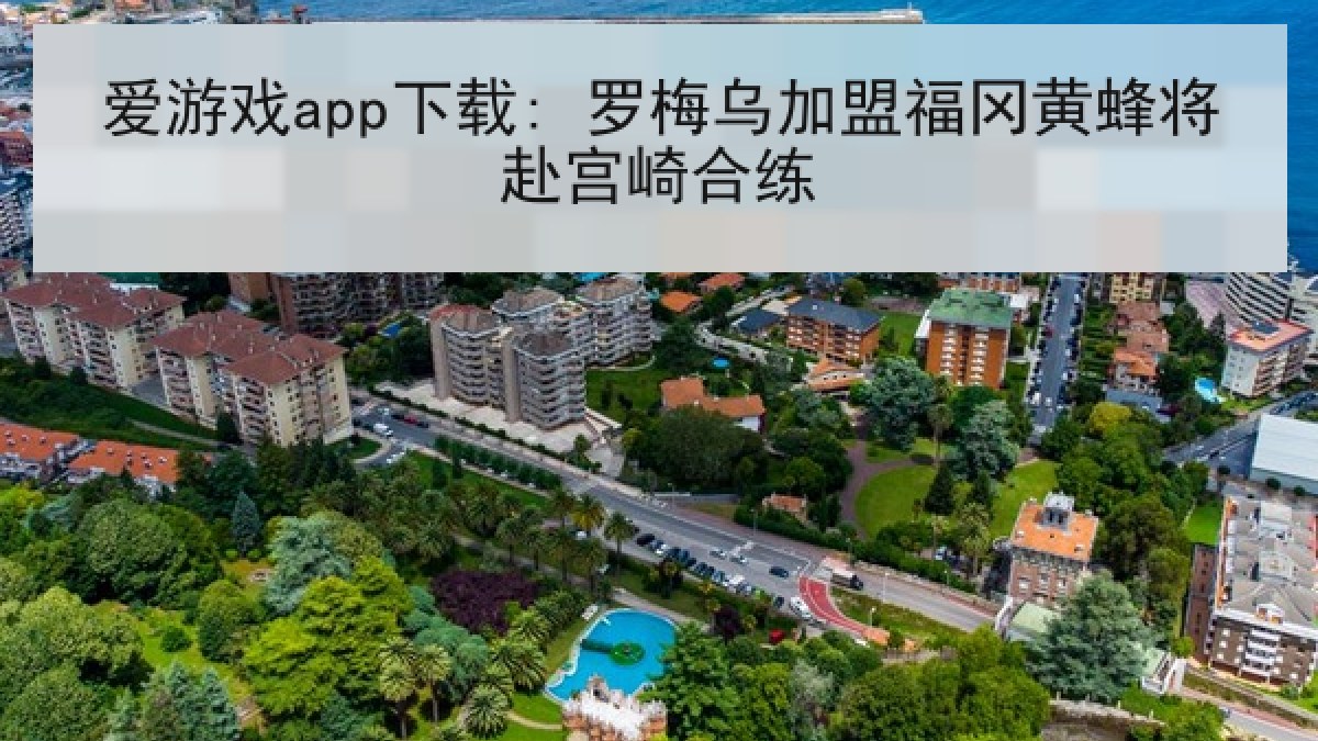 爱游戏app下载: 罗梅乌加盟福冈黄蜂将赴宫崎合练