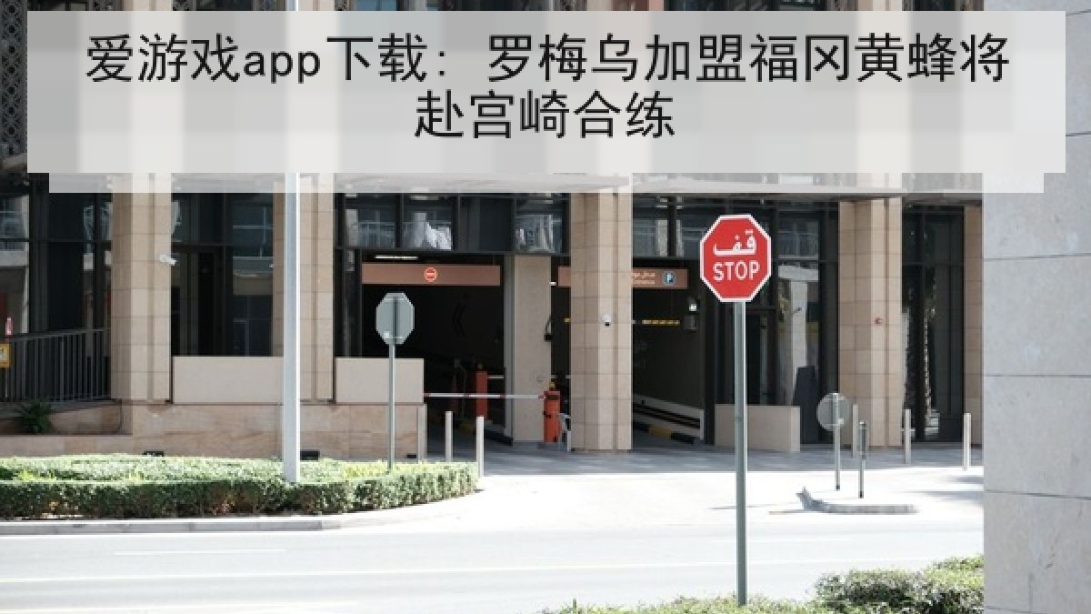 爱游戏app下载: 罗梅乌加盟福冈黄蜂将赴宫崎合练